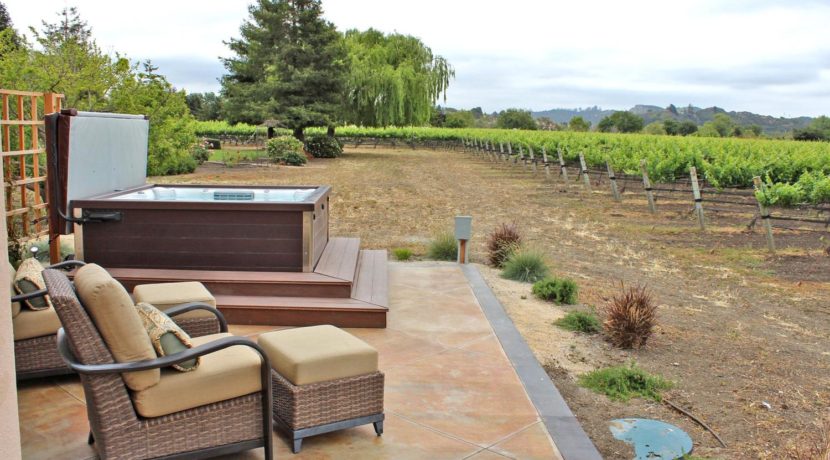 741 Twin Creeks Way San Luis-large-005-61-4 Acre Pinot Noir Vineyard-1500x1000-72dpi