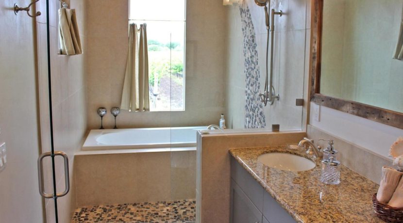 741 Twin Creeks Way San Luis-large-044-59-Casita Master Bathroom-1440x960-72dpi