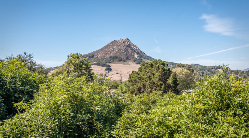250 Hermosa Way San Luis-large-024-11-Back Yard View-1498x1000-72dpi