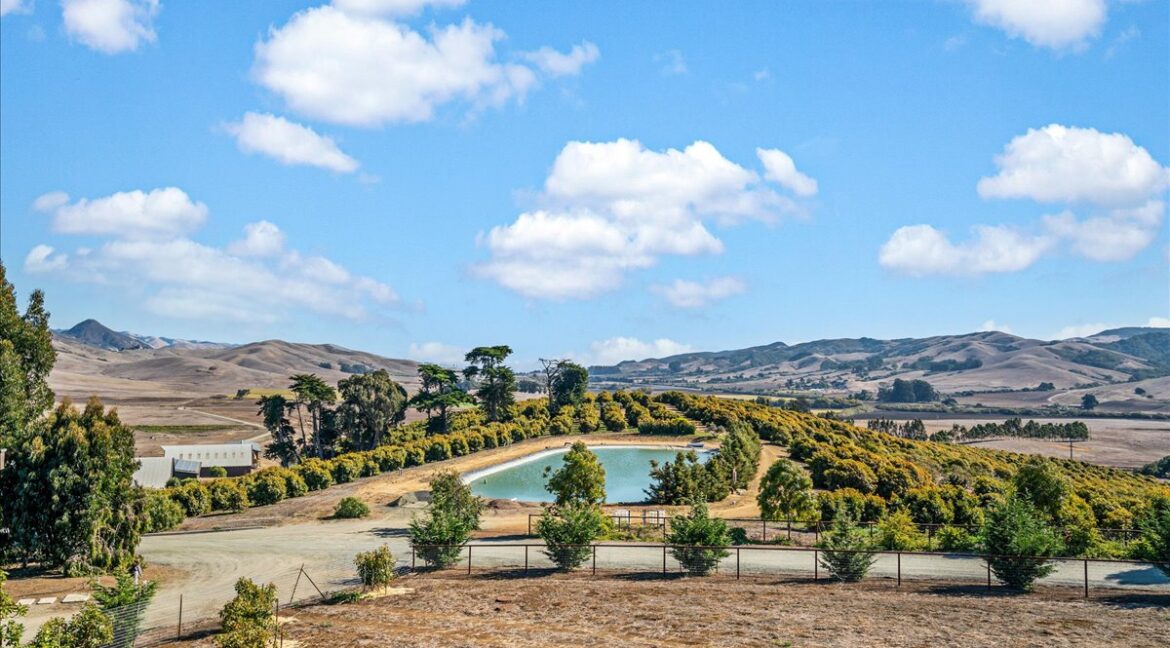 109-Holding Pond and Avocados